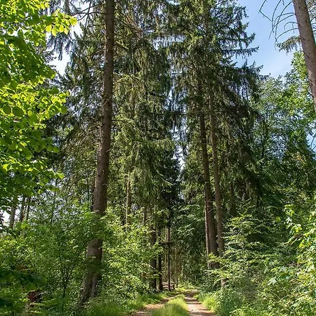 Bungis Ferien Direkt Am Grimnitzsee, Karree 09 Barrierefrei